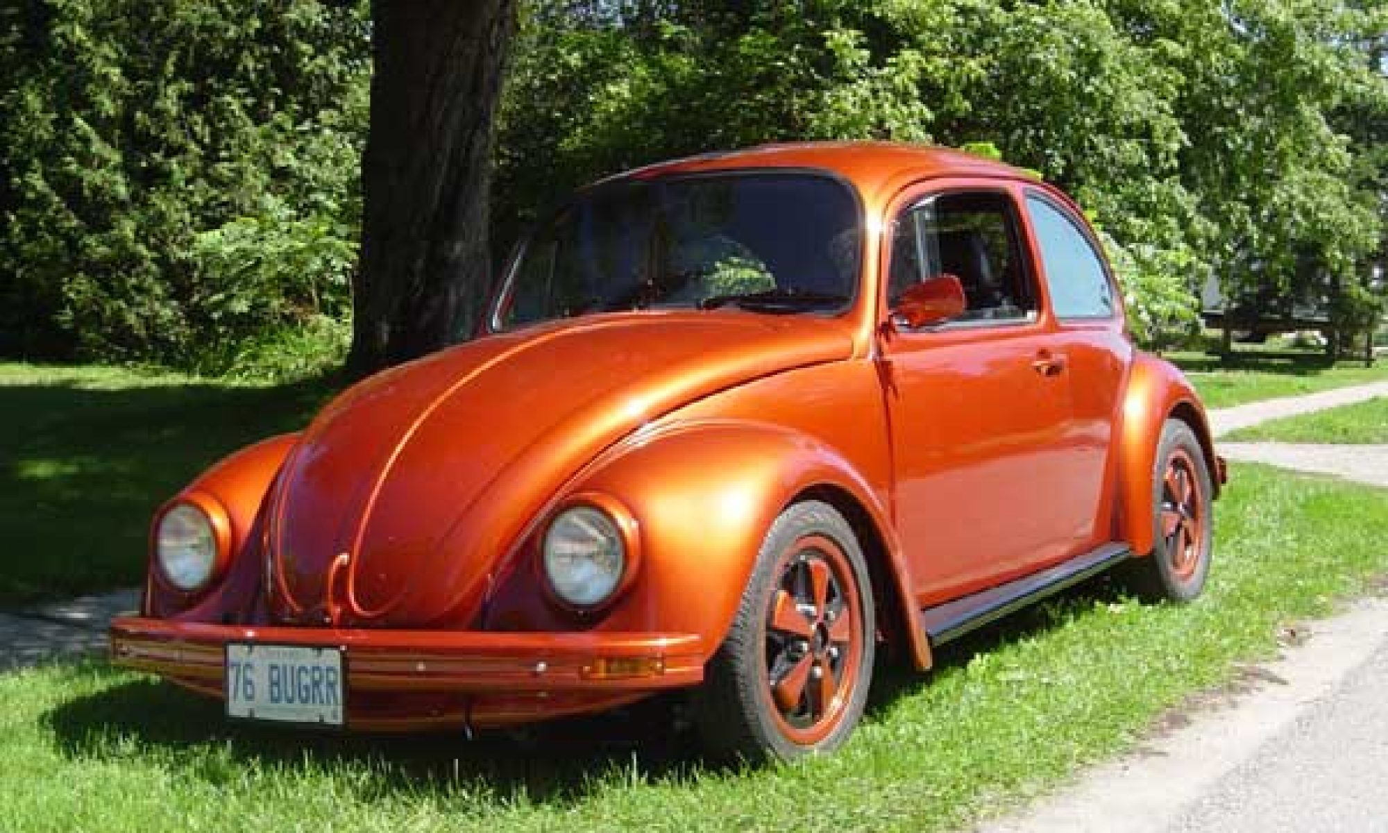 Image Gallery | K-W & Area Bug Club